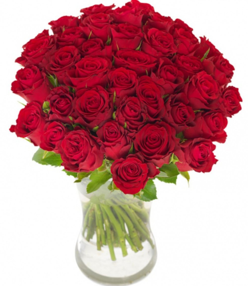 40 Rich Red Roses Flower Vase