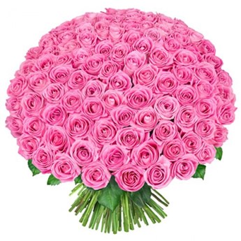 100 Pink Roses Bouquet