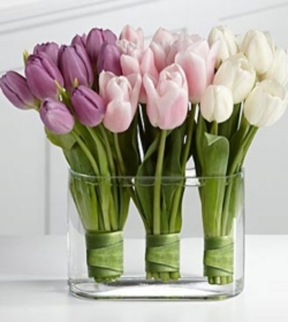 Beautiful 30 Tulip vase