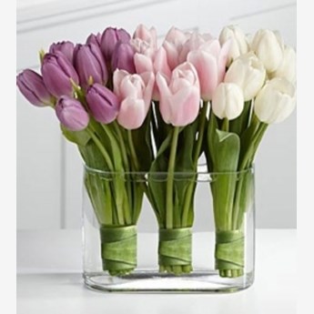 Beautiful 30 Tulip vase