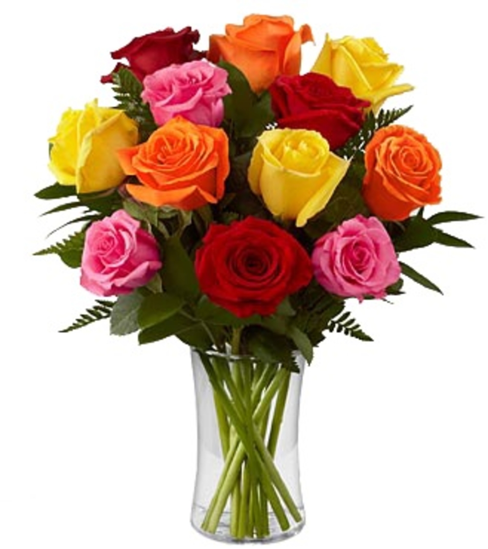 12 Colorful Roses