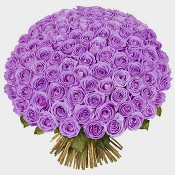 100 Purple Rose Bouquet
