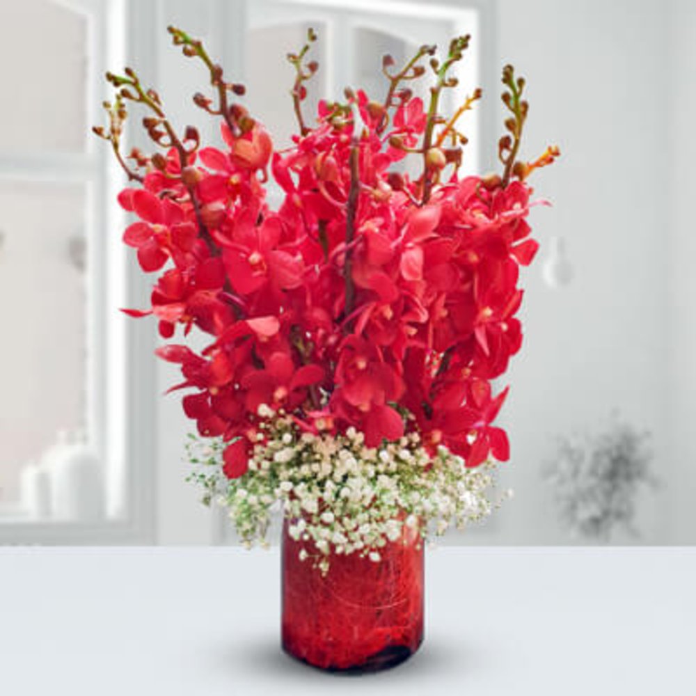 10 Red Mokara Orchid Flower Vase