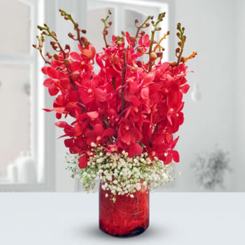 10 Red Mokara Orchid Flower Vase Send Flowers to Qatar