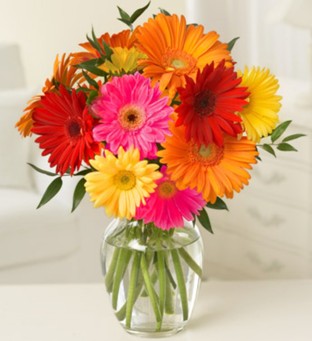 Daisey Flower Vase