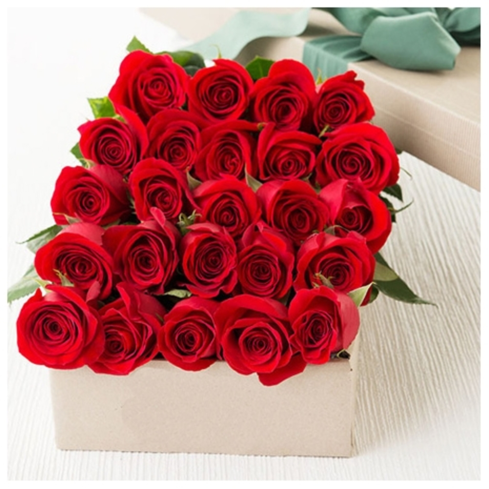 24 Red Roses  Box