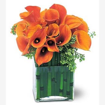 20 Unique Orange Cala Lily Flower Vase