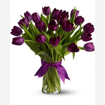 20 Passionate Purple Tulips
