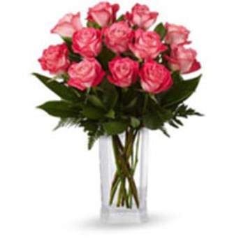 Passionate Pink Roses