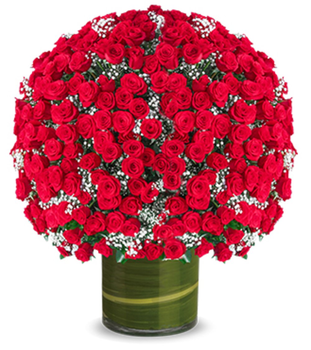 500 Red Rose Arrangement