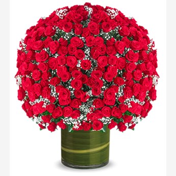 500 Red Rose Arrangement