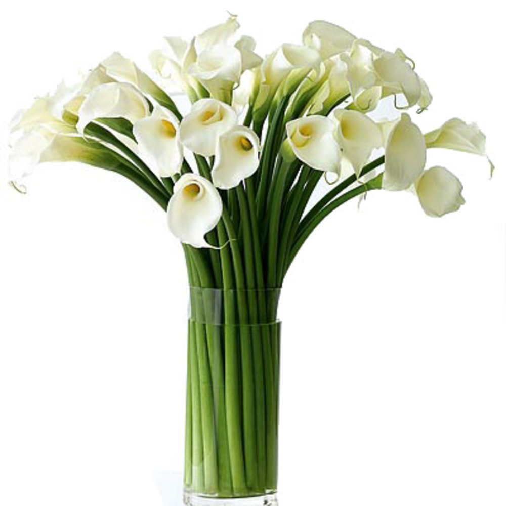 20 Cala Lilies Flower Vase