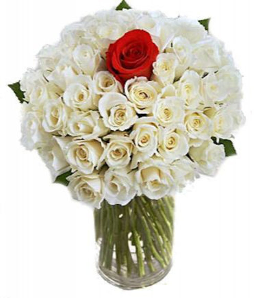Milky White Rose Vase