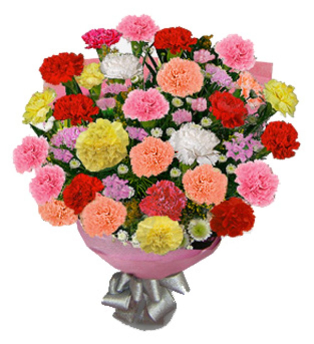 30 Mixed Carnation Flower Bouquet