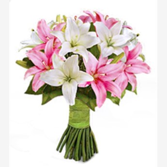 Lovely Lilies