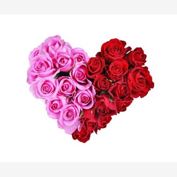 30 Red Pink Roses Arrangement