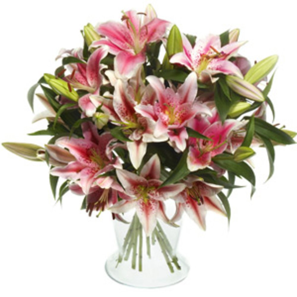 10 Pink Lilies Vase