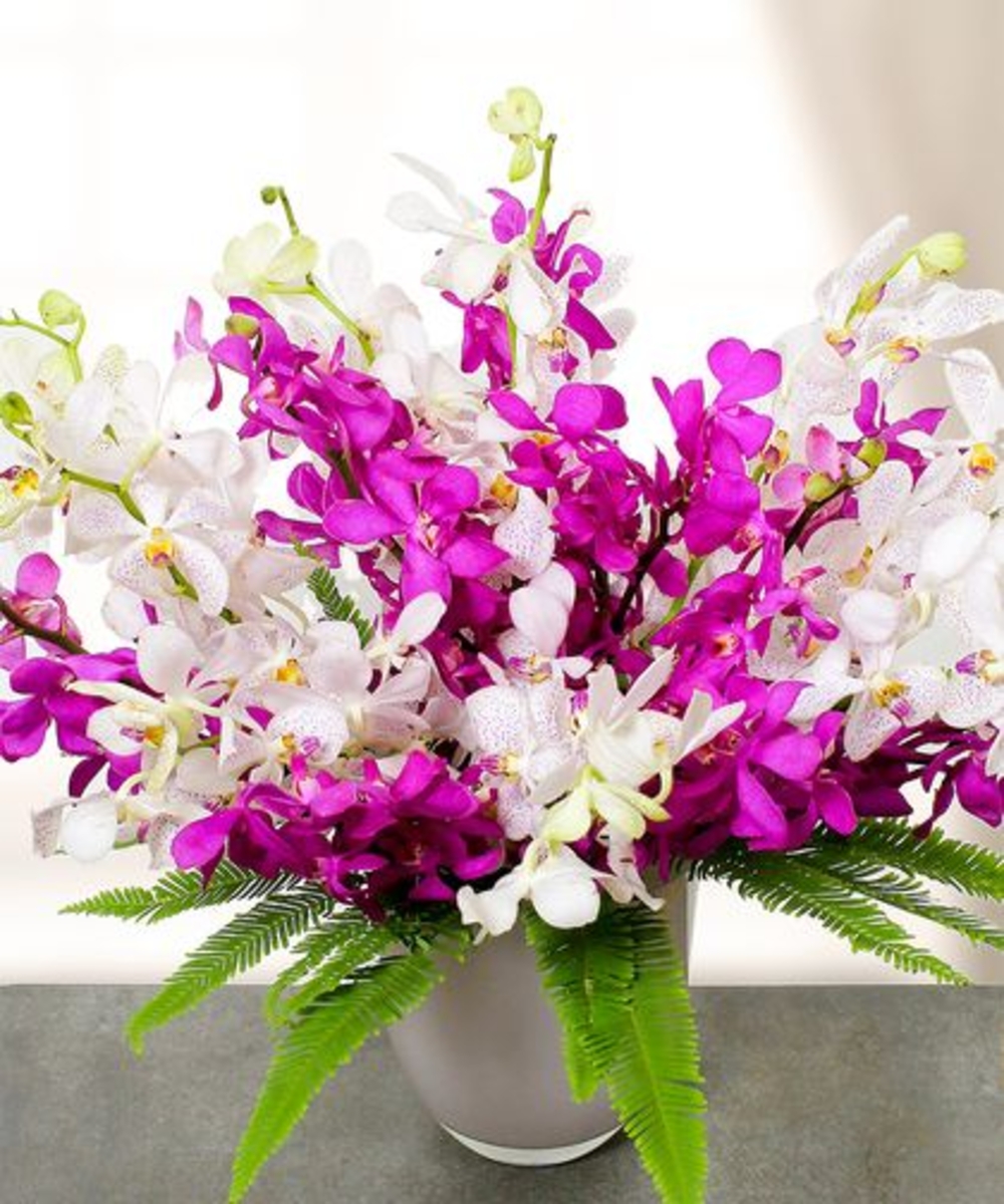 50 Royal Purple Orchid Arrangement