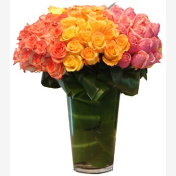 100 Orange Yellow Pink Roses
