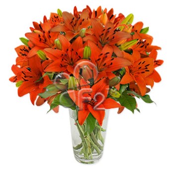 Arabian Lilies Bouquet