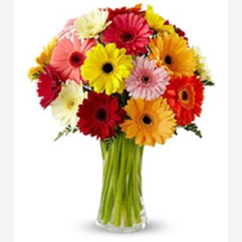 Mixed Gerberas Flowers Vase