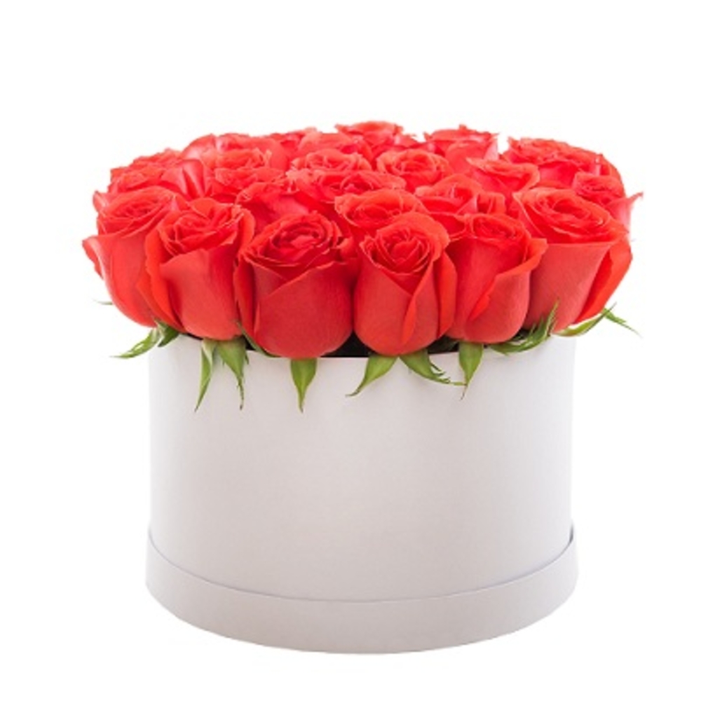 24 Red Roses Flower Box