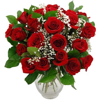 24 Red Rose Arrangement