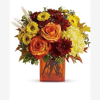 Winter Flowers