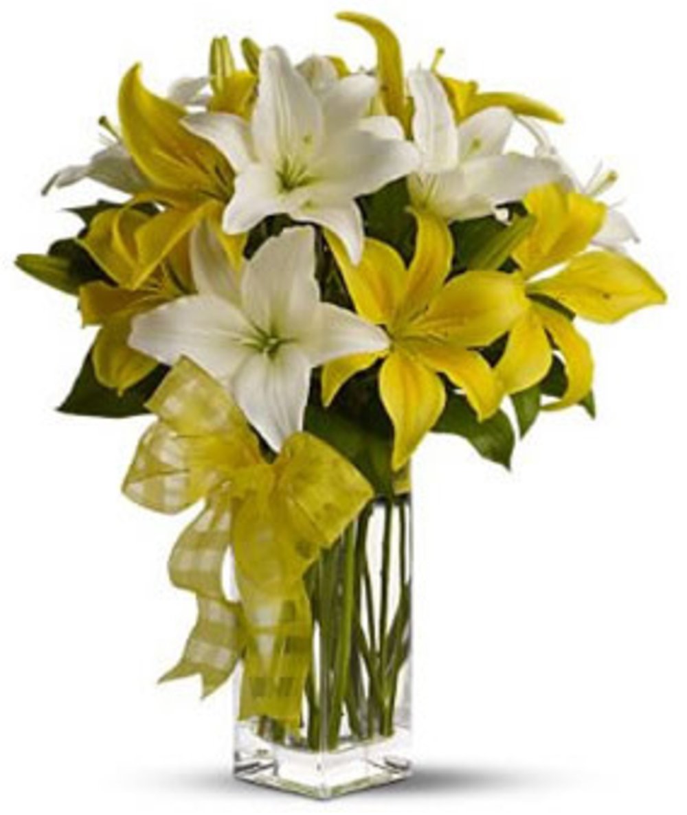 White Yellow Lily Vase