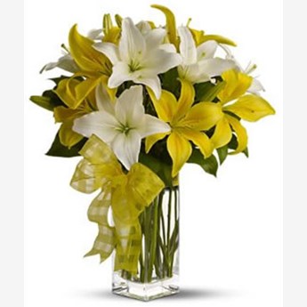 White Yellow Lily Vase