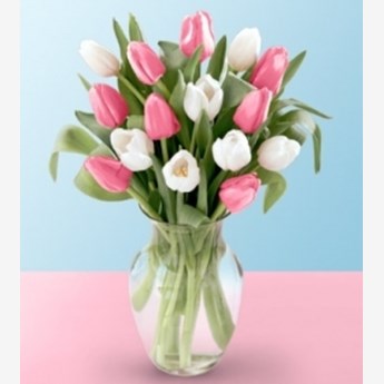 Beautiful Mixed Tulip Bunch