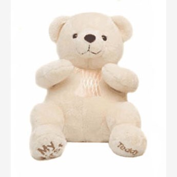 White Soft Teddy