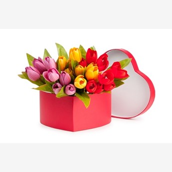 24 Mix Tulip Box