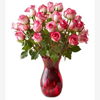 Lovely Rose Flower Vase