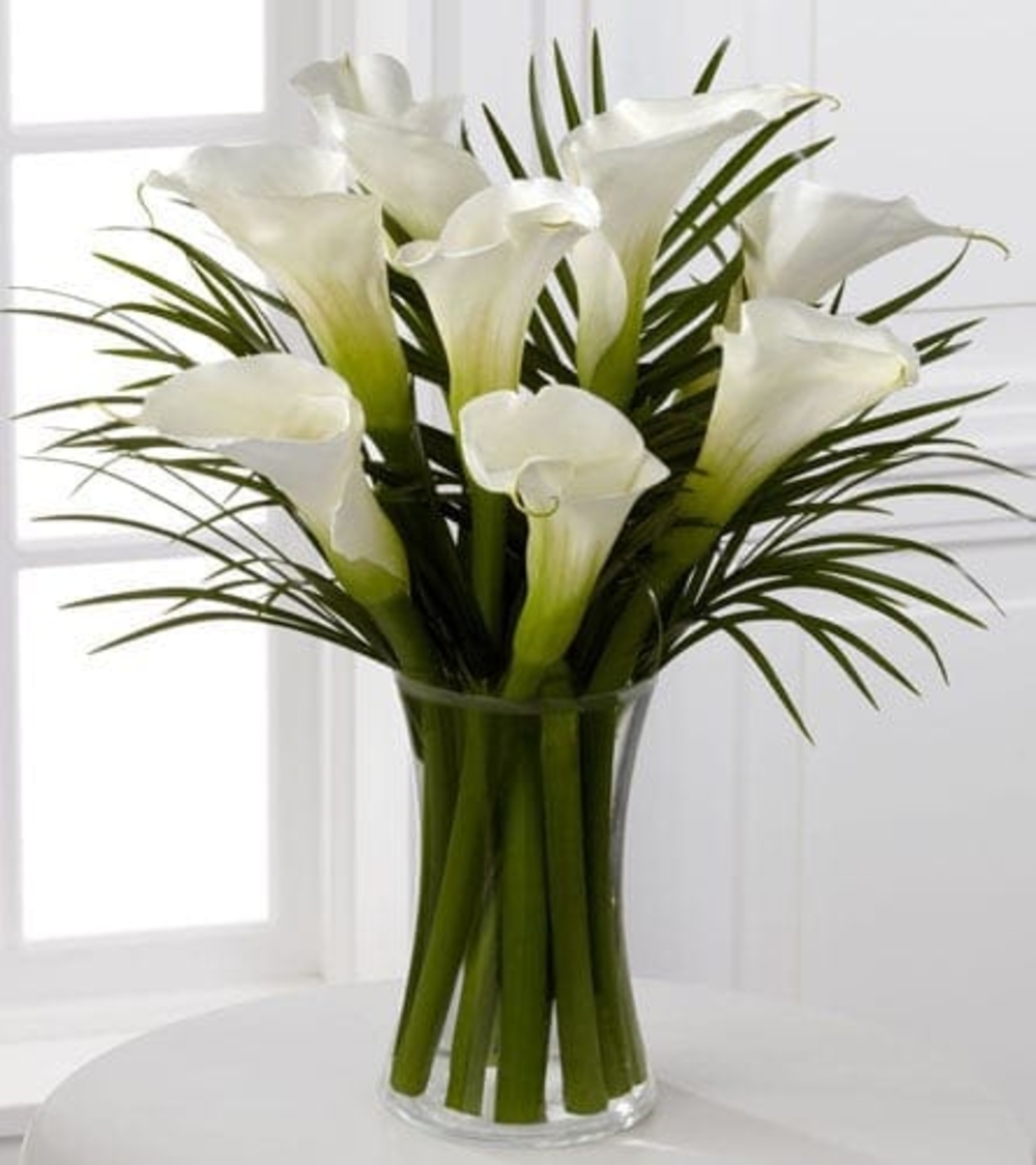 Milky Calla Lily Flower Vase