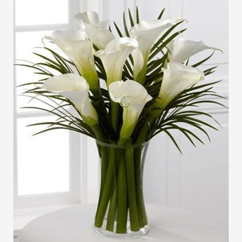 Milky Calla Lily Flower Vase