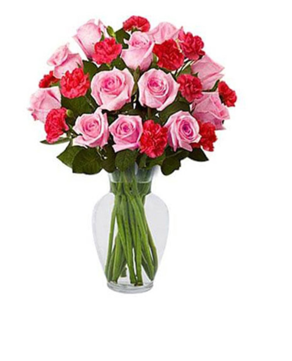 Rose Carnation Flower Vase
