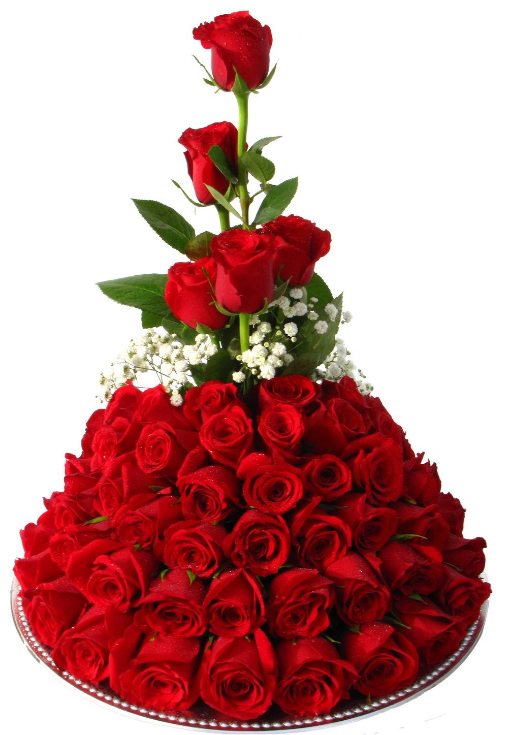 Exotic Rose Flowers  Cheap Flower Delivery in Qatar, Doha