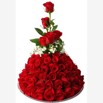 Exotic Rose Flowers