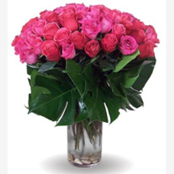 40 Pink Rose Flower Vase