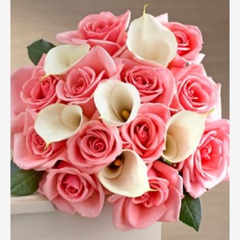 Soft Pink White Blooms