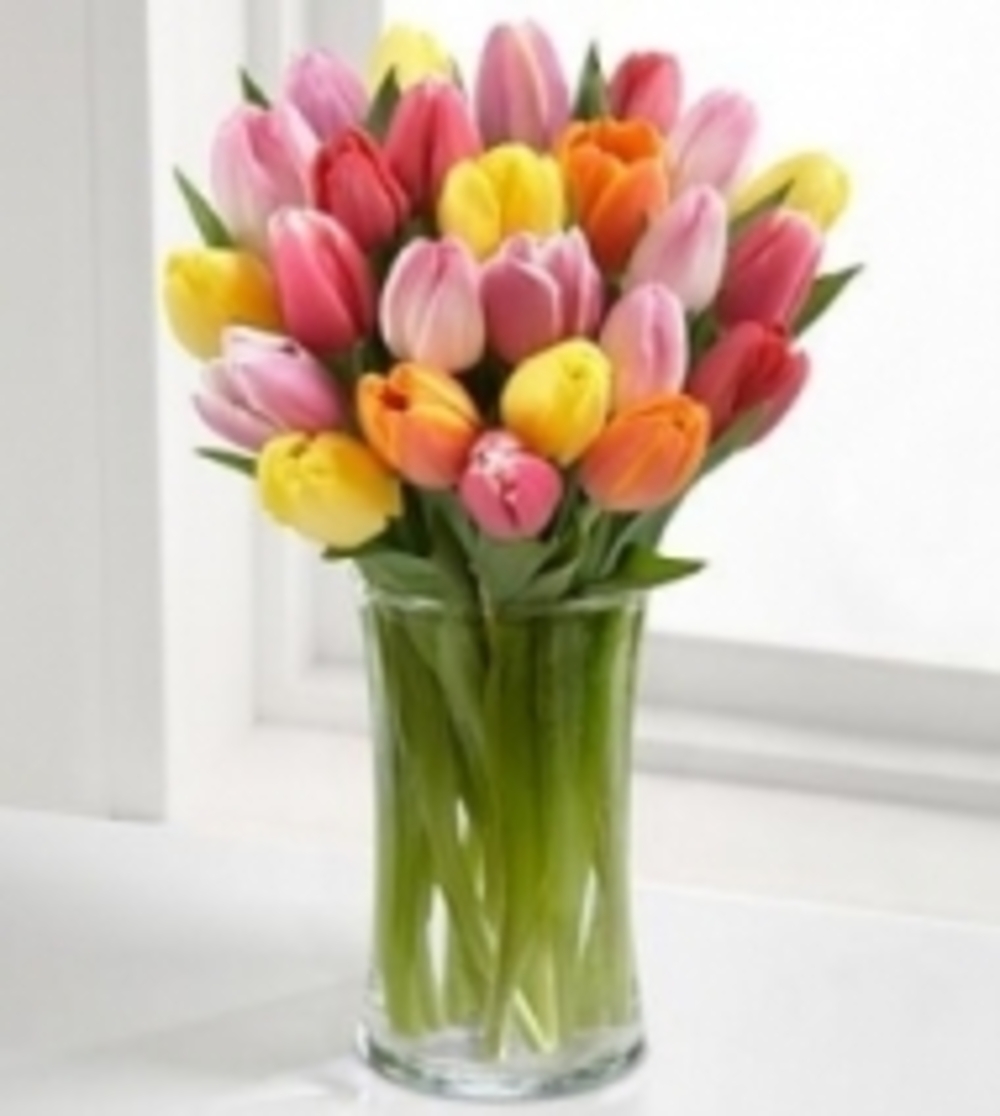 Assorted Tulip Flower Vase