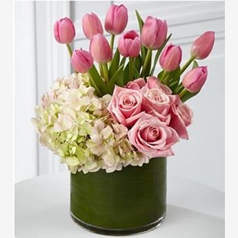 Pretty Pink Tulip Flowers