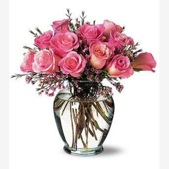 20 Pink Roses Vase