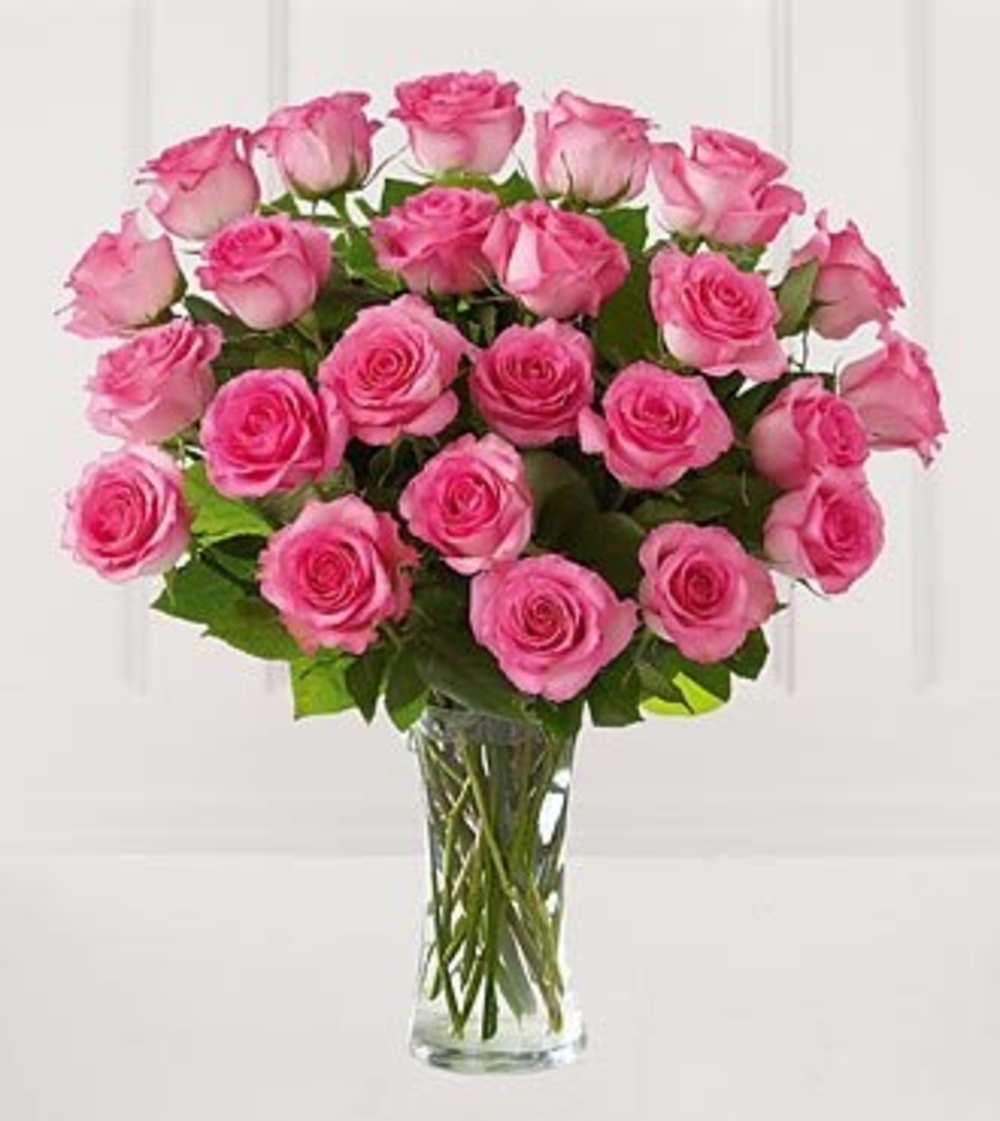 24 Perfectly Pink Roses