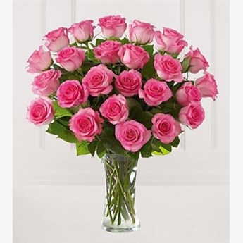 24 Perfectly Pink Roses