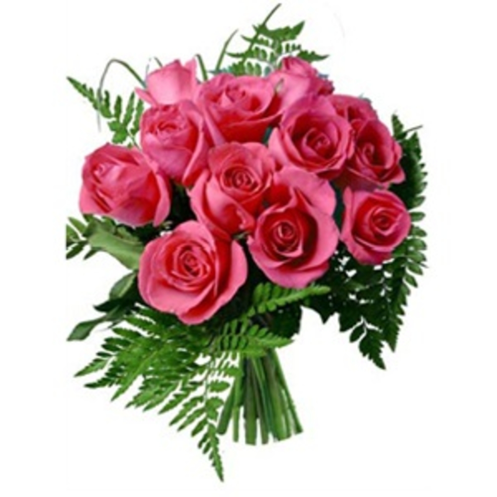 Splendid Pink Roses