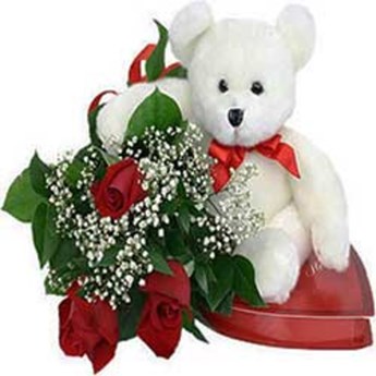 Rose With Teddy Combo