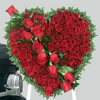 Exotic Rose Flowers  Cheap Flower Delivery in Qatar, Doha