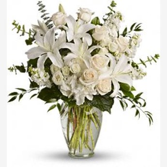 20 Daisy Delight Flowers